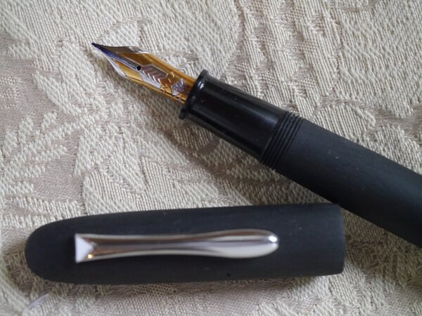 P1180766-3 Gama Eyas with Omas 18k nib.jpg