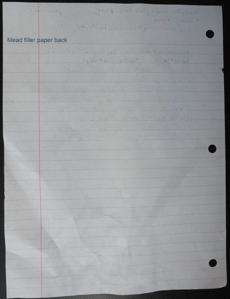 mead wide-ruled filler paper back.jpg