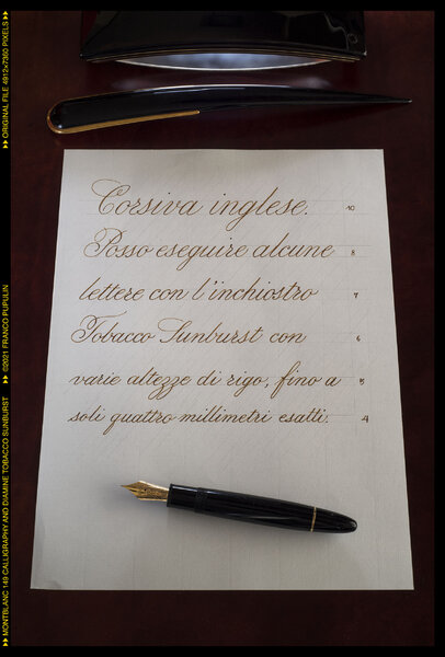 Montblanc 149 Calligraphy and Diamine Tobacco Sunburst ©FP.jpg