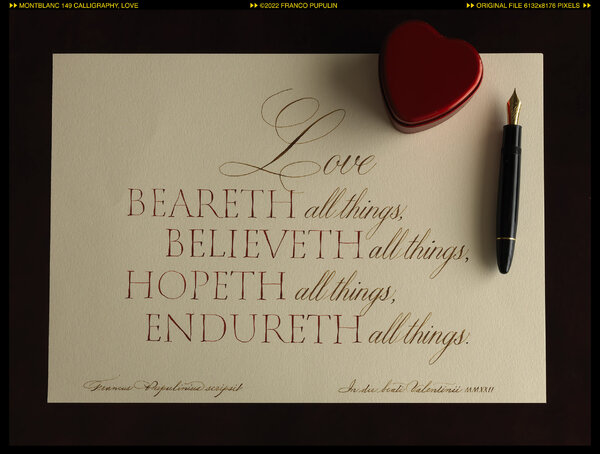 Montblanc 149 Calligraphy, Love ©FP.jpg