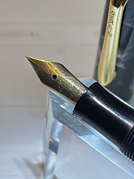 Merlin_Degussa_nib