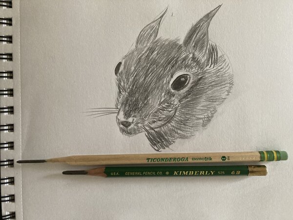 Dedicated to my buddy Zookie who sent me the Ticonderoga pencil.