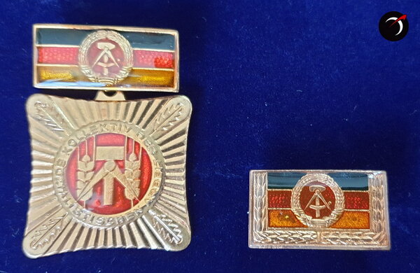 pins_gdr.jpg