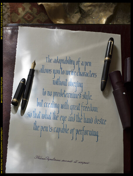 Montblanc 149 Calligraphy, Adaptability copy.jpg