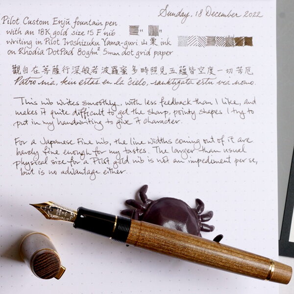 Pilot Custom Enjyu F nib writing sample in Iroshizuku yama-guri