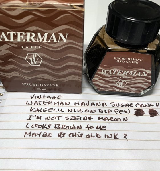 Waterman Havana belonging to USG.jpeg