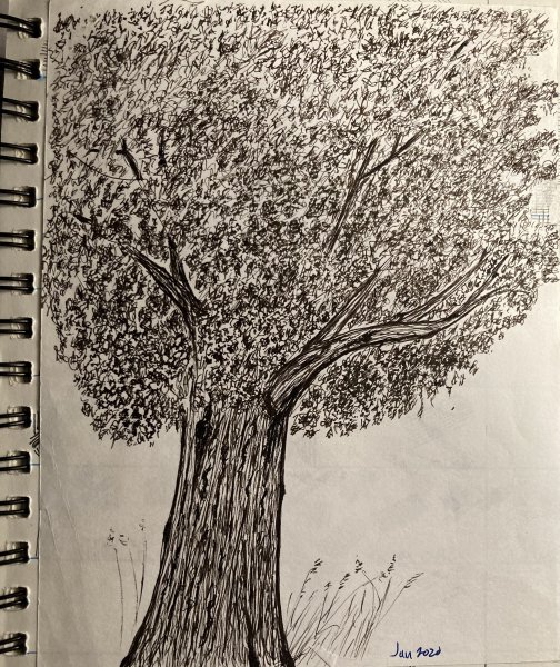 Tree I did 3 years ago, added some new leaf marks - Rohrer & Klinger sepia TWISBI 580 broad