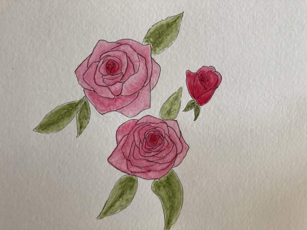 Roses - Platinum Carbon Black & Watercolor