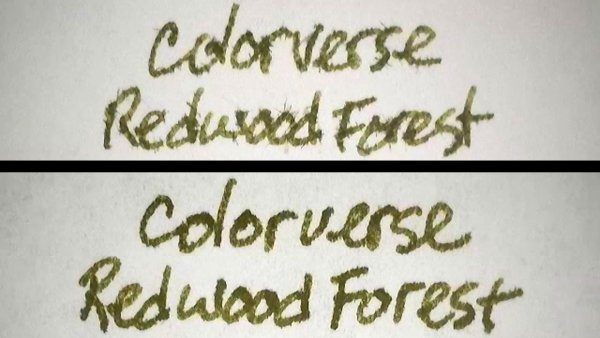 ColorverseRedwoodForestAP.jpg