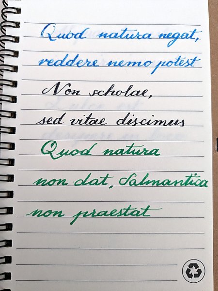 Quod_natura...Non_scholae...jpg