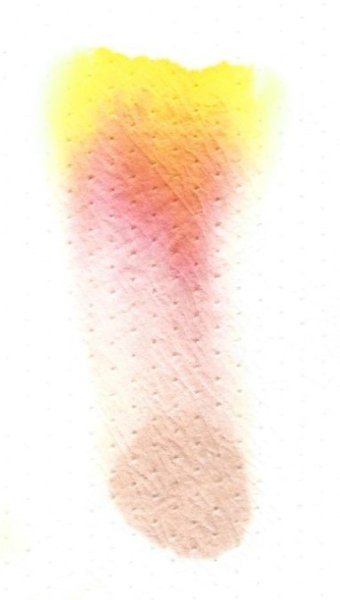 diamine 150 II - golden honey - chromatography 300ppi.jpg