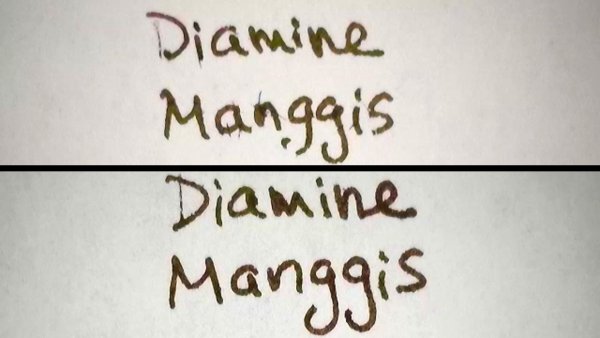 DiamineManggisAP.jpg