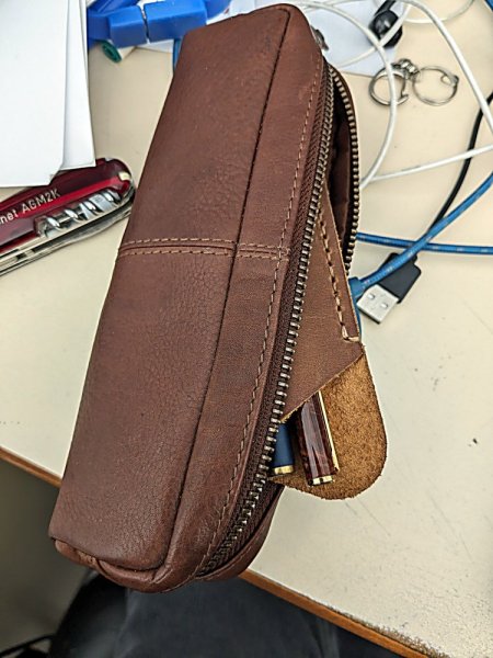 Leather_transport_bag.jpg