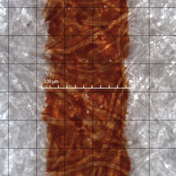 NemosineSolarStorm1859LW.jpg