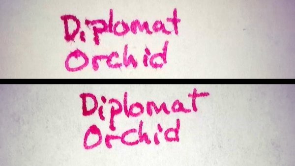 DiplomatOrchidAP.jpg