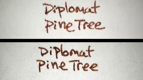 DiplomatPineTreeAP.jpg