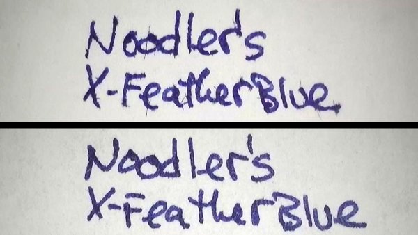 NoodlersXFeatherBlueAP.jpg