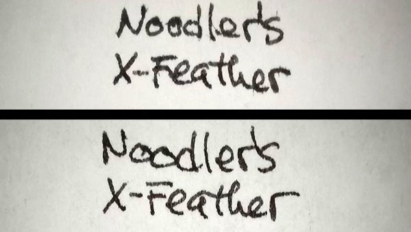 NoodlersXFeatherBlackAP.jpg