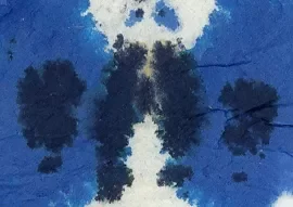 Sandy1 ESSRI Ink blot on paper towel.webp