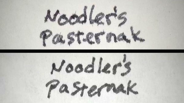 NoodlersPasternakAP.jpg