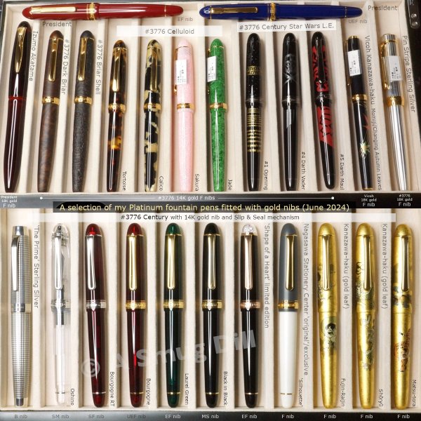 A selection of my Platinum fountain pens fitted with gold nibs (June 2024)