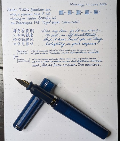 Sailor Tuzu F nib writing sample in Seiboku demonstrating various line weights