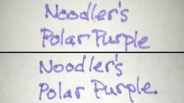 NoodlersPolarPurpleAP.jpg