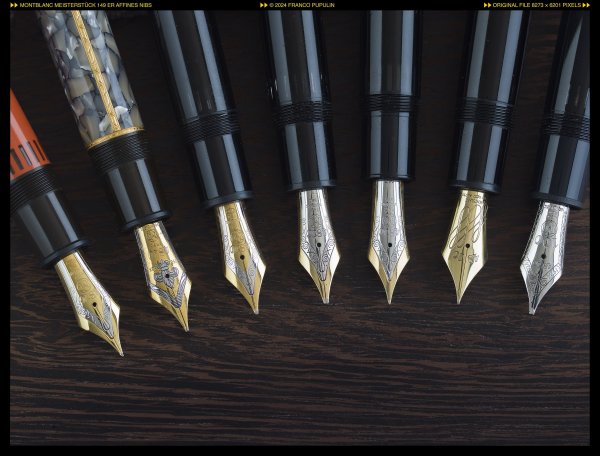 Montblanc Meisterstück 149 et affines nibs ©FP.jpg