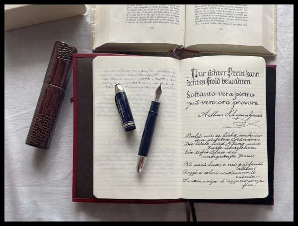 Montblanc 149 The Origin, copying Schopenahauer (1).jpg