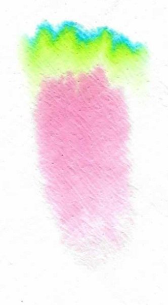 diamine - weeping willow - chromatography 300ppi.jpg