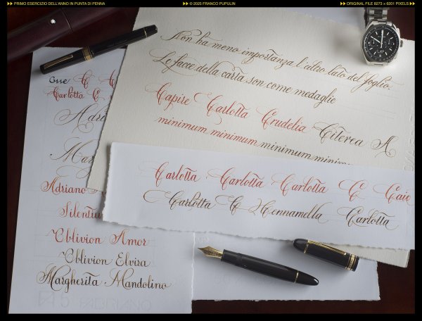 Calligrafiia, primo esercizio dell'anno in punta di penna ©FP.jpg