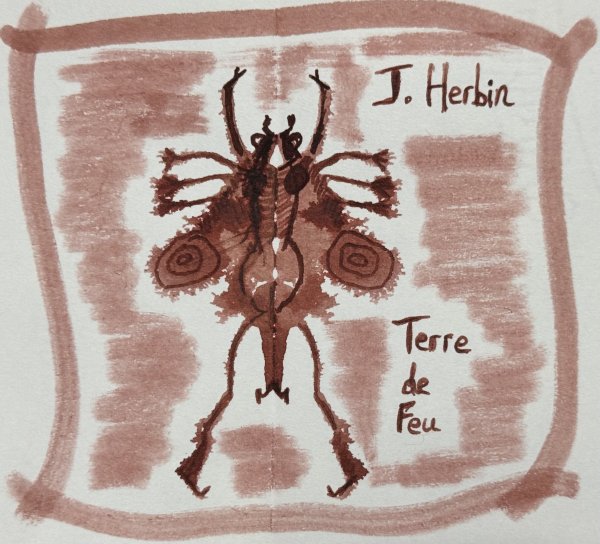 j herbin - terre de feu - title photo.jpg