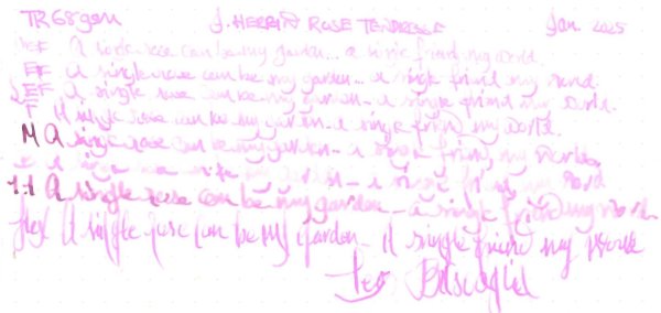 TR68 - Herbin Rose Tendresse.jpeg