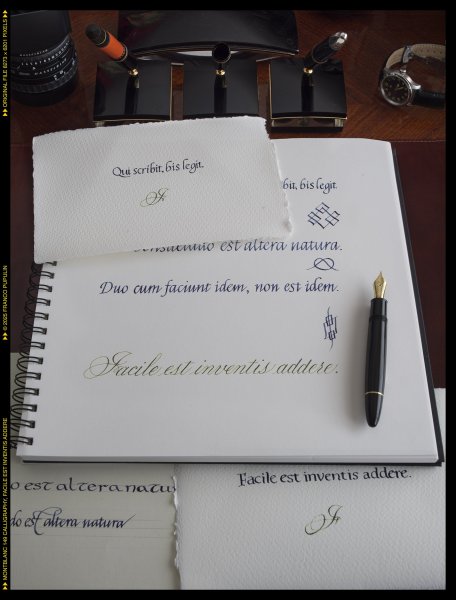 Montblanc 149 Calligraphy, Facile est inventis addere ©FP.jpg