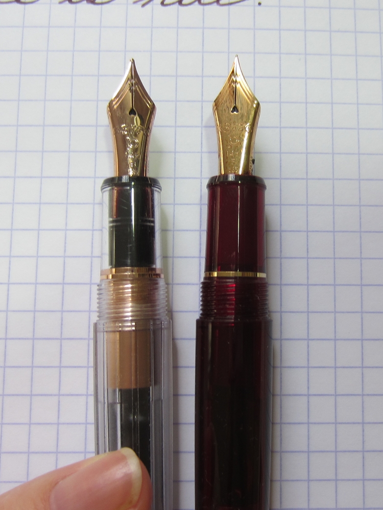 Platinum 3776 Century Fountain Pen in Nice Pur - 14K Gold