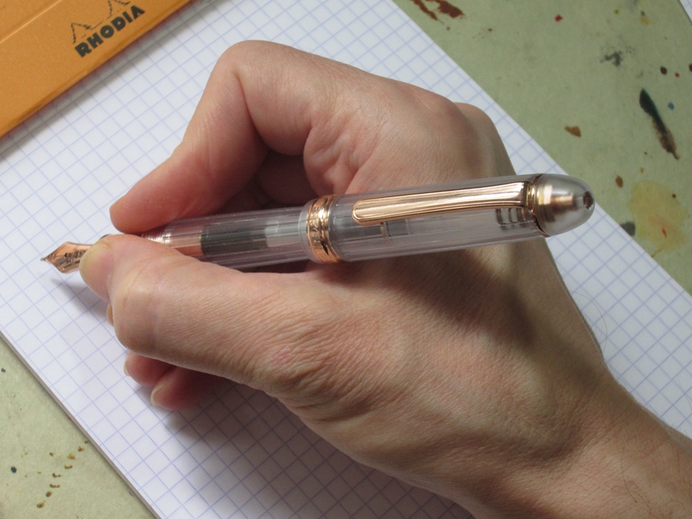 PLATINUM #3776 Century Nice Fountain Pen - Rose