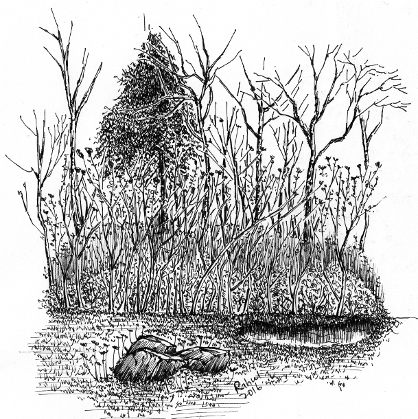 Learn To Draw Simple Landscapes In Pen And Ink - Fountain & Dip Pens ...