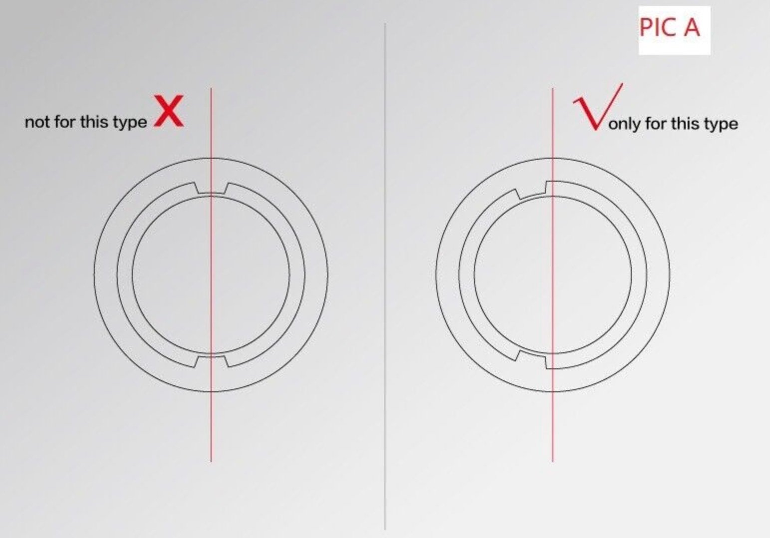 Growth ring | Annual Rings, Cambium Layer & Xylem Cells | Britannica