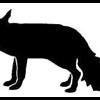 blackfox